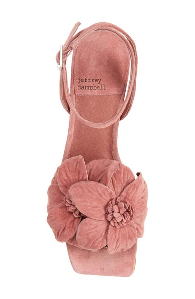 Shop Jeffrey Campbell Honolulu Floral Sandal In Dusty Rose Suede