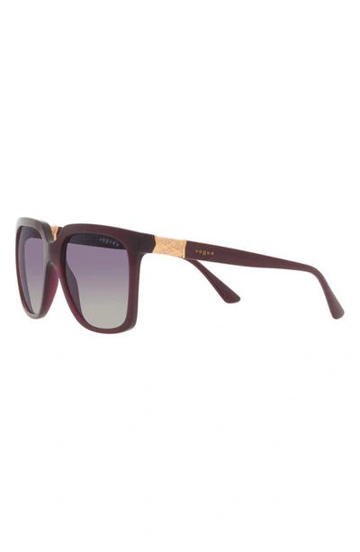 Shop Vogue 54mm Polarized Square Sunglasses In Cherry