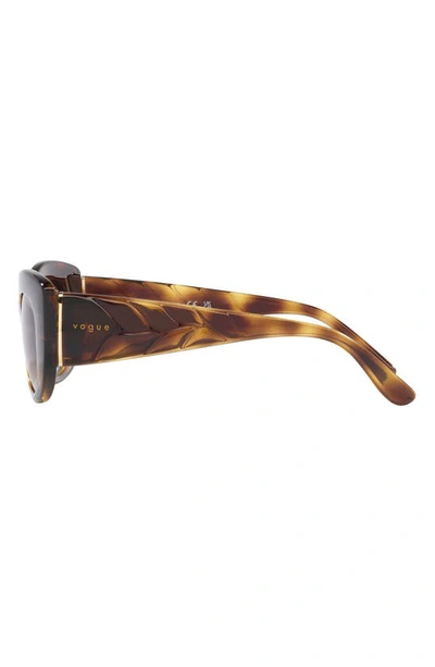 Shop Vogue 49mm Gradient Butterfly Sunglasses In Dark Havana