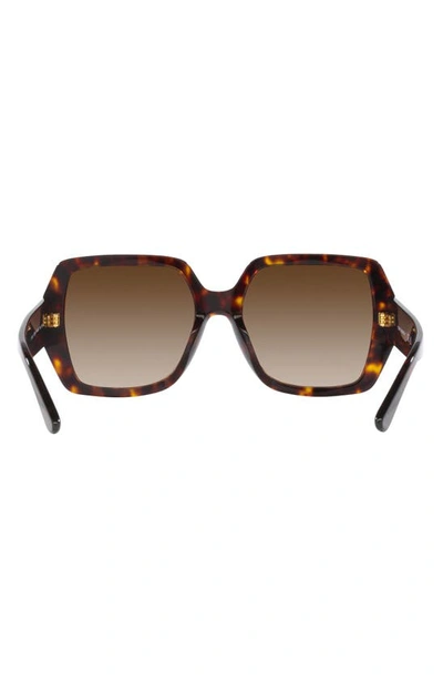 Shop Tory Burch 54mm Gradient Square Sunglasses In Dark Tortoise