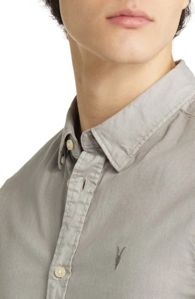 Shop Allsaints Hawthorne Stretch Cotton Button-up Shirt In Frosted Taupe