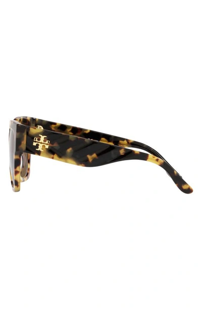 Shop Tory Burch 52mm Square Sunglasses In Dark Tort