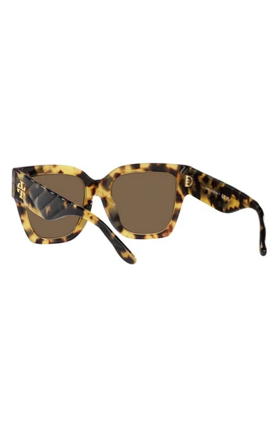Shop Tory Burch 52mm Square Sunglasses In Dark Tort