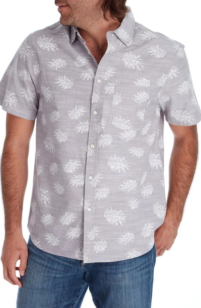 Shop Px Pineapple Print Short Sleeve Button-up Cotton Chambray Shirt In Armor Grey