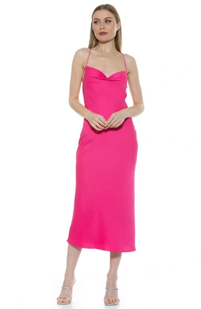 Shop Alexia Admor Dionee Draped Cowl Neck Midi Dress In Hot Pink