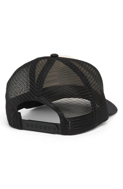 Shop American Needle Sinclair Nase Snapback Hat In Black/ Ivory