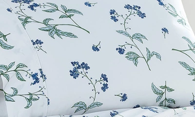 Southshore Fine Linens Myosotis Scorpioides 300 Tc Long Staple Sateen Cotton Sheet Set In White