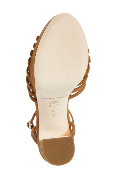 Shop Loeffler Randall Rivka Ankle Strap Platform Sandal In Cacao