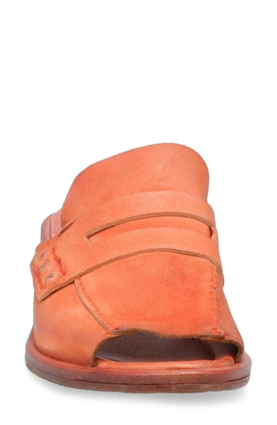 Shop As98 Gino Slide Sandal In Coral