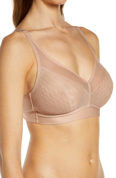 Shop Wacoal Elevated Allure Wireless Bra In Roebuck