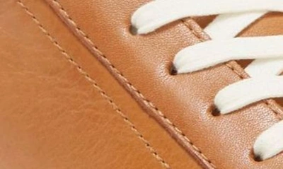 Josef Seibel Claire Sneaker In Camel