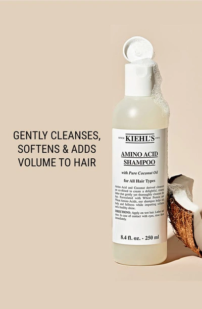 Shop Kiehl's Since 1851 Amino Acid Shampoo, 8.4 oz In Bottle