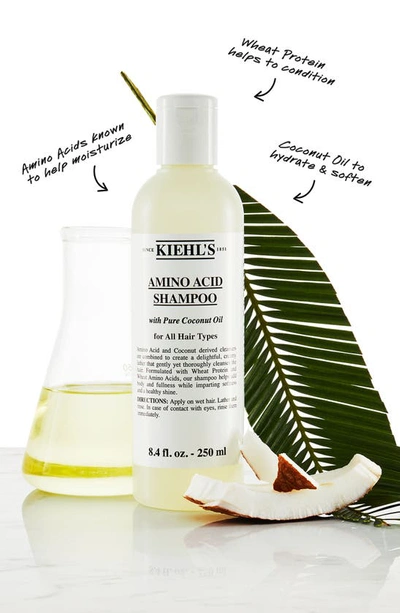 Shop Kiehl's Since 1851 Amino Acid Shampoo, 16.9 oz In Bottle