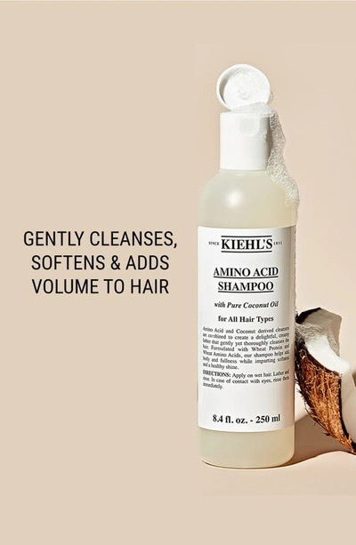 Shop Kiehl's Since 1851 Amino Acid Shampoo, 33.8 oz In Refill