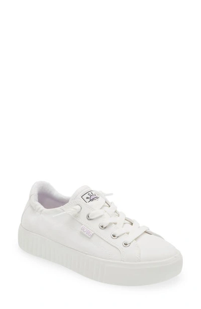 Shop Skechers X Bobs Royal Kiss Sneaker In White