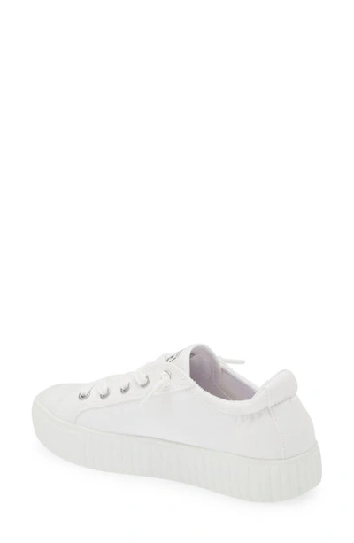 Shop Skechers X Bobs Royal Kiss Sneaker In White