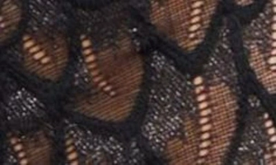 Shop Montelle Intimates Feather Lace Brazilian Briefs In Black