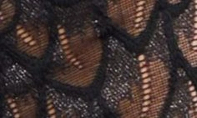 Montelle Intimates Feather Lace Brazilian Briefs In Black