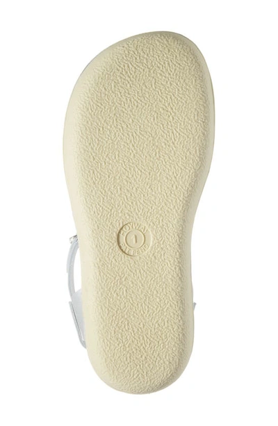 Salt Water Sandals By Hoy Swimmer Sandal In Silver