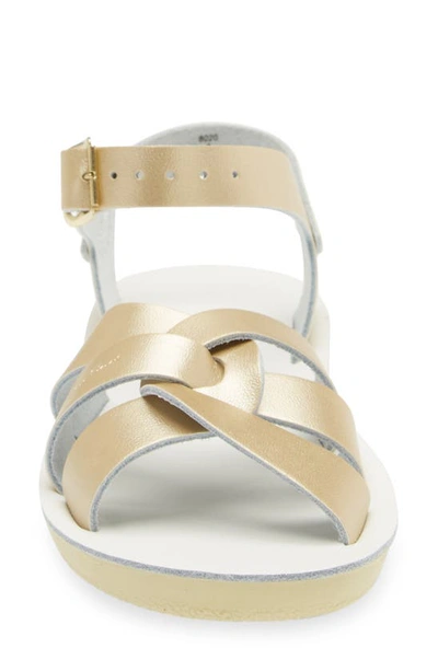 Shop Salt Water Sandals By Hoy Swimmer Sandal In Gold