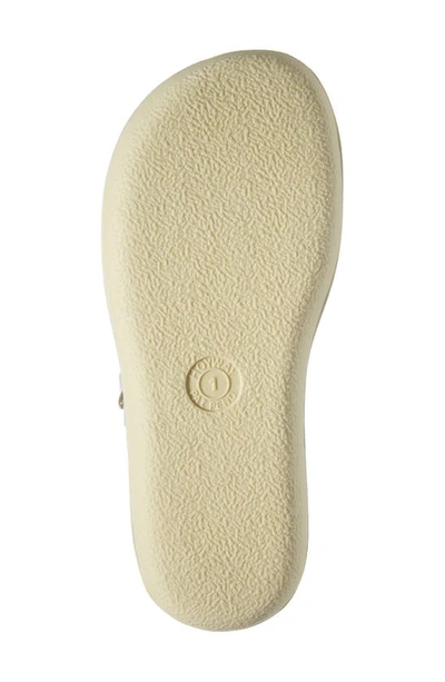 Salt Water Sandals By Hoy Swimmer Sandal In Gold