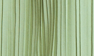 Mango Top Green In Green