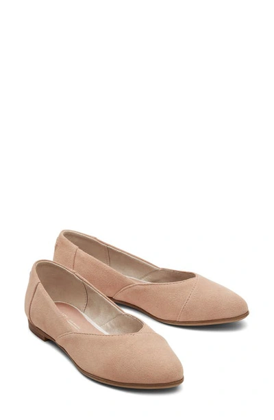 Shop Toms Jutti Neat Flat In Brown