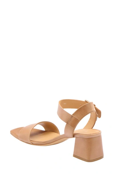 Nisolo Ankle Strap Sandal In Almond