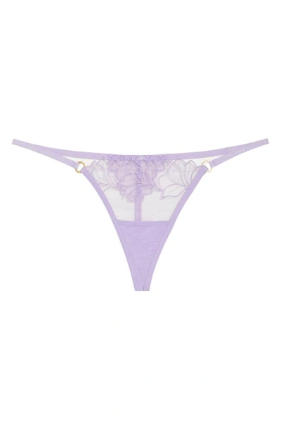 Shop Bluebella Monet Embroidered Mesh Thong In Purple Rose