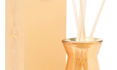 Shop Paddywax Reed Diffuser In Orange