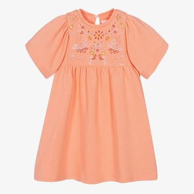 Shop Chloé Teen Girls Coral Orange Floral Dress