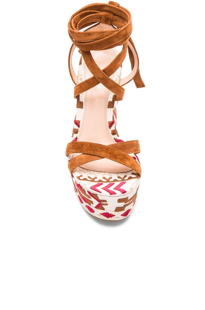 Shop Gianvito Rossi Printed Suede Wedges In Luggage