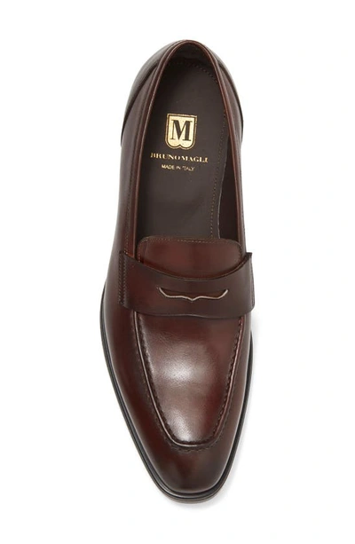 Bruno Magli Calabria Square Toe Penny Slot Loafer In Rust ModeSens