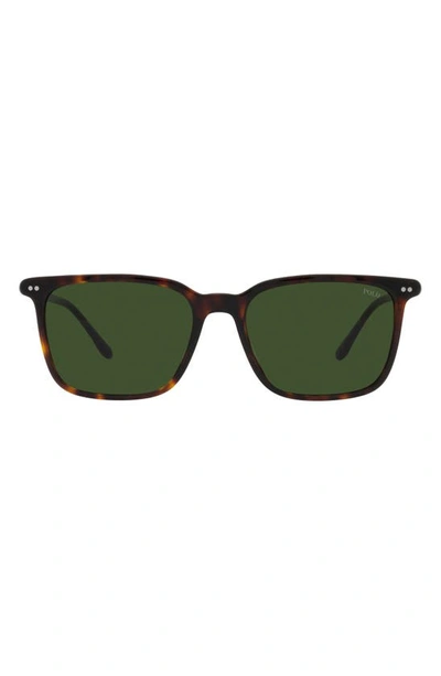 Shop Polo Ralph Lauren 56mm Square Sunglasses In Shiny Havana