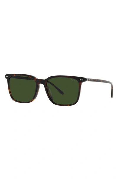 Polo Ralph Lauren 56mm Square Sunglasses In Shiny Havana