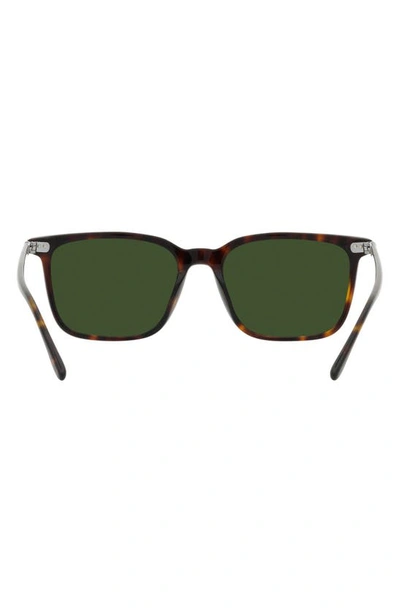 Shop Polo Ralph Lauren 56mm Square Sunglasses In Shiny Havana