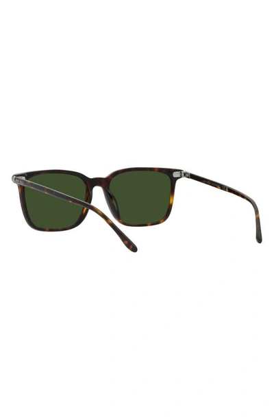 Polo Ralph Lauren 56mm Square Sunglasses In Shiny Havana