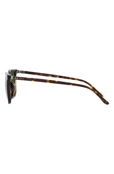 Polo Ralph Lauren 56mm Square Sunglasses In Shiny Havana