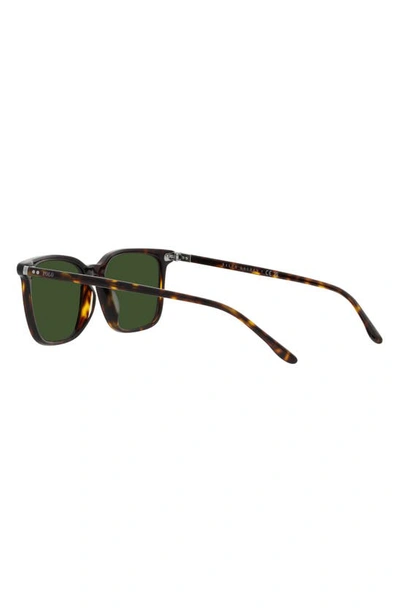 Polo Ralph Lauren 56mm Square Sunglasses In Shiny Havana