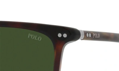 Polo Ralph Lauren 56mm Square Sunglasses In Shiny Havana