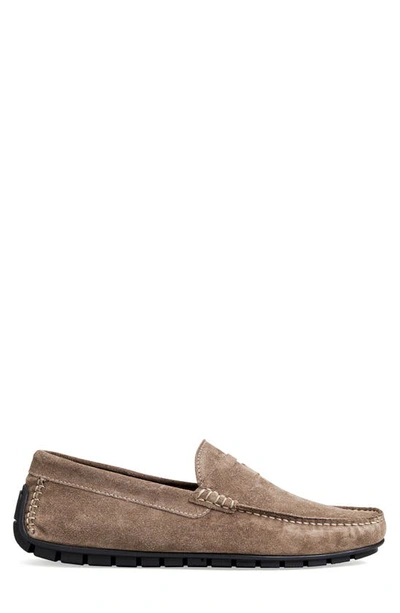 Shop Bruno Magli Xane Driving Penny Loafer In Taupe Suede