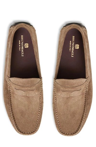 Shop Bruno Magli Xane Driving Penny Loafer In Taupe Suede