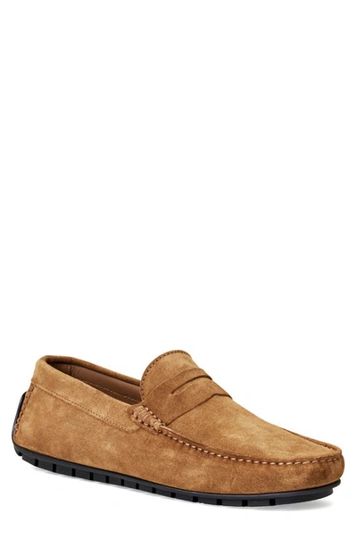 Bruno Magli Xane Mens Leather Slip On Driving Moccasins In Cognac Suede