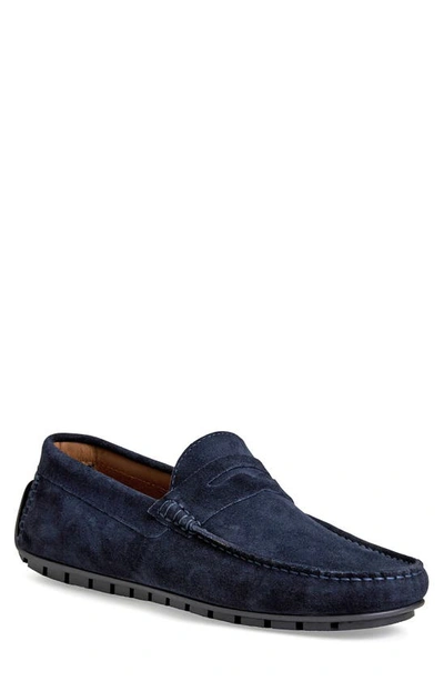 Shop Bruno Magli Xane Driving Penny Loafer In Navy Suede