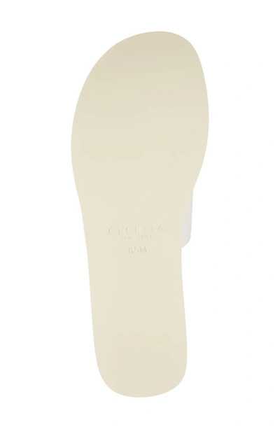 Shop Cecelia New York King Platform Slide Sandal In White Multi
