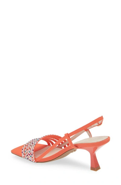 Shop Cecelia New York Kasper Square Toe Sandal In Coral Jewel