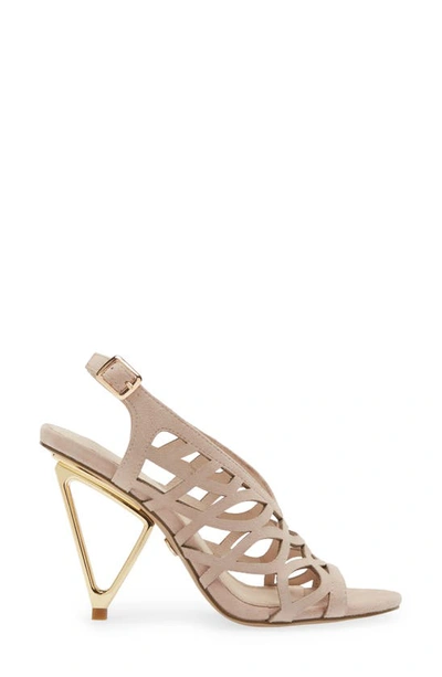 Shop Cecelia New York Charming Slingback Sandal In Downey