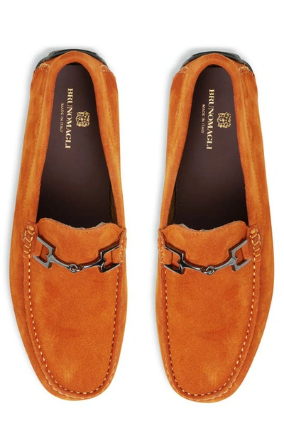 Shop Bruno Magli Xander Driving Loafer In Orange Suede