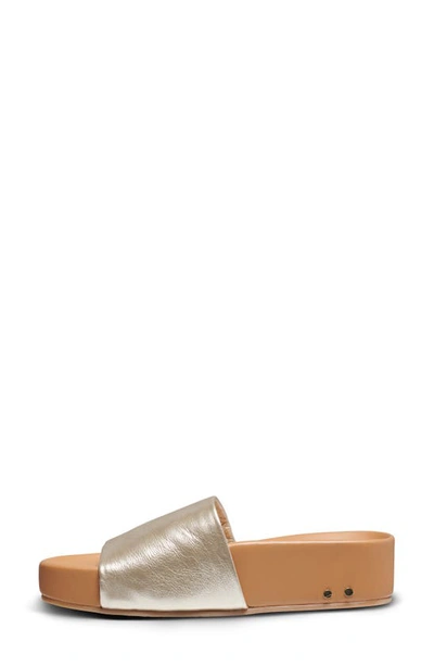 Shop Beek Pelican Platform Slide Sandal In Platinum/ Beach