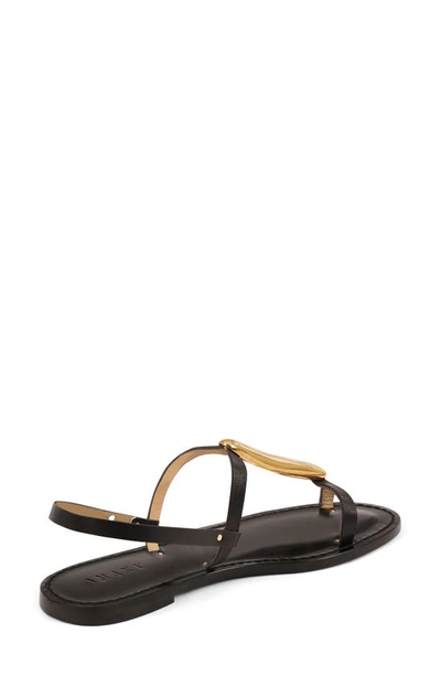 Shop Amanu Kisumu 24k-gold Plate T-bar Sandal In Black